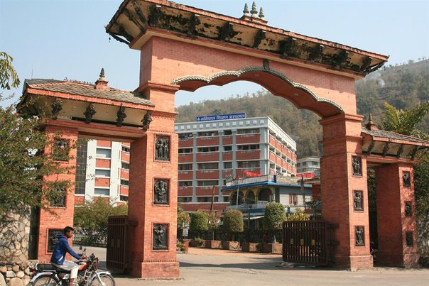 blog image